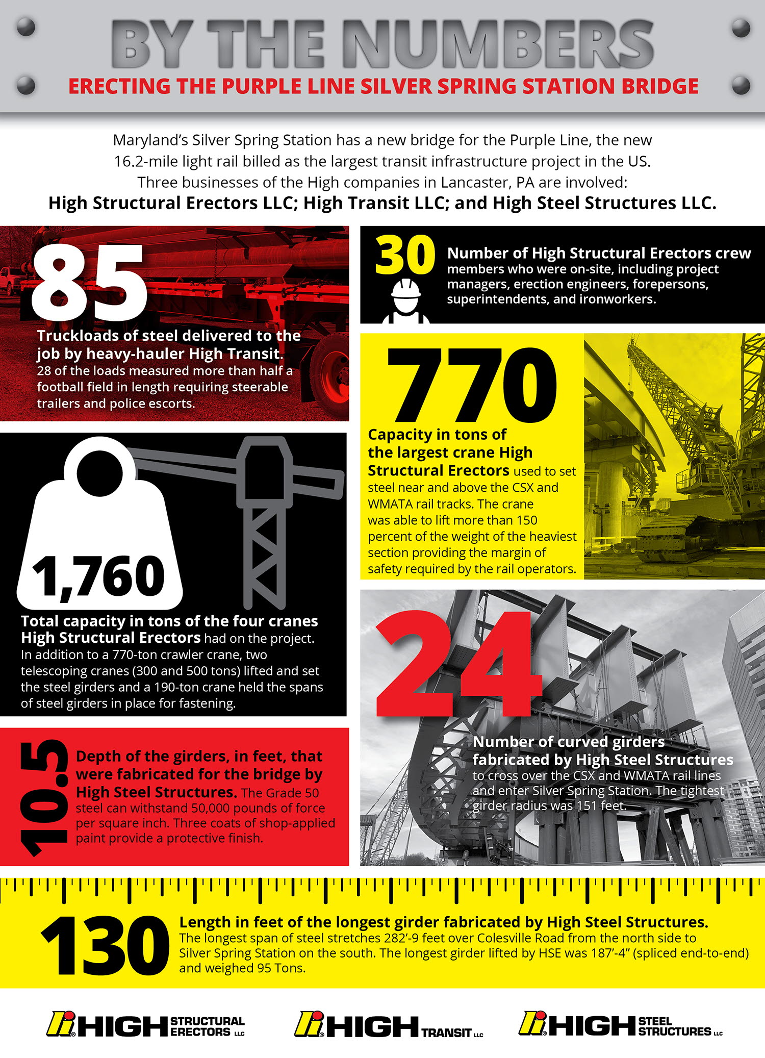 Purple Line Infographic